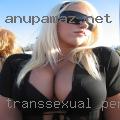 Transsexual personal